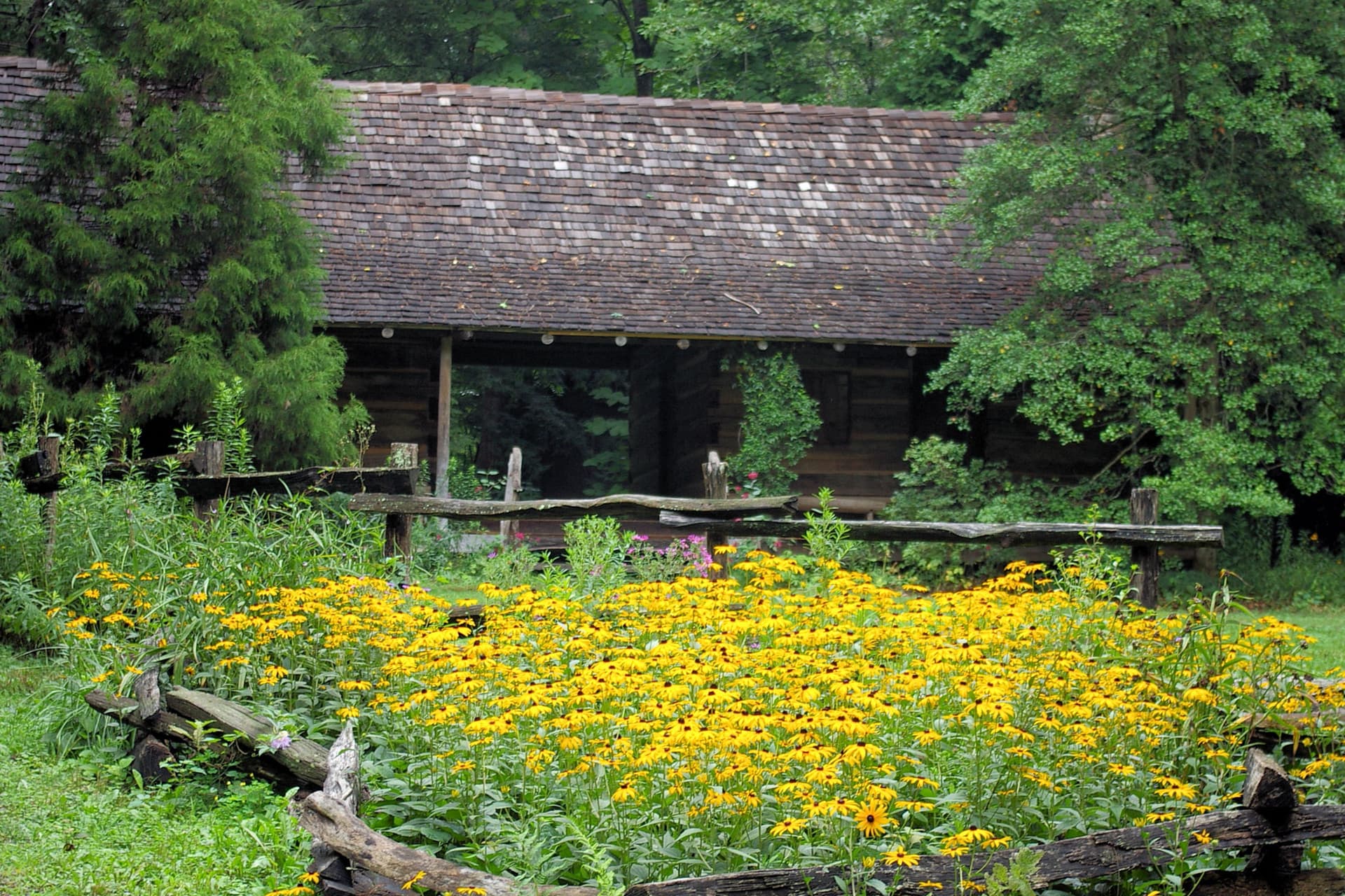 Botanical gardens Trail Asheville NC