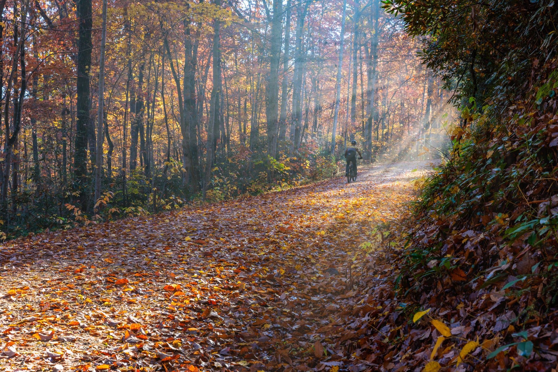 Biking on the G5 Collective Trail in Fall