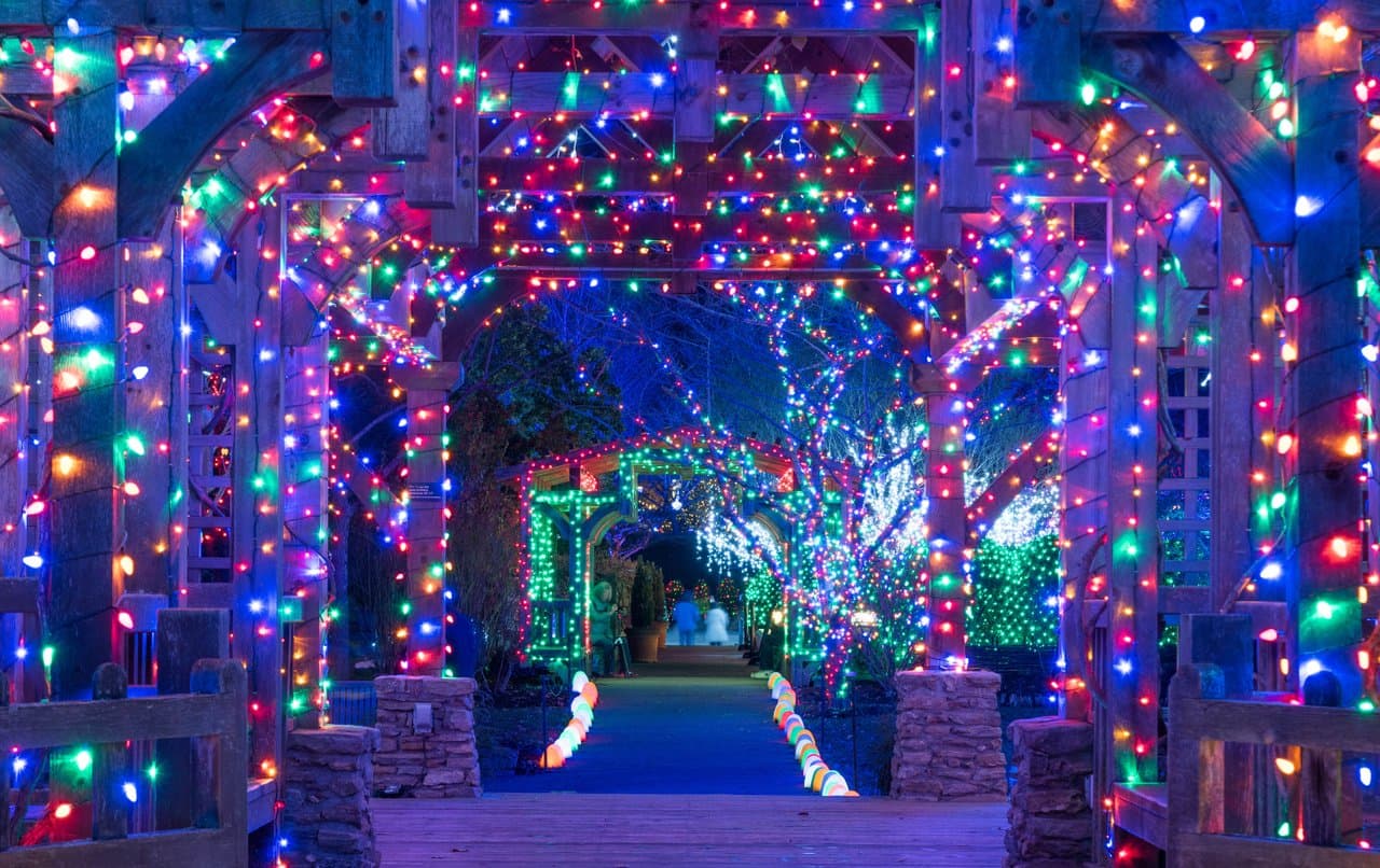 Winter Lights at the NC Arboretum