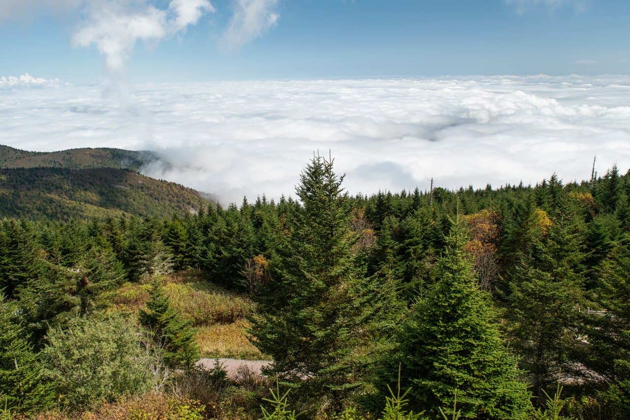 Mt Mitchell in early fall / Photo:Jason Tarr Mt Mitchell in early fall / Photo:Jason Tarr