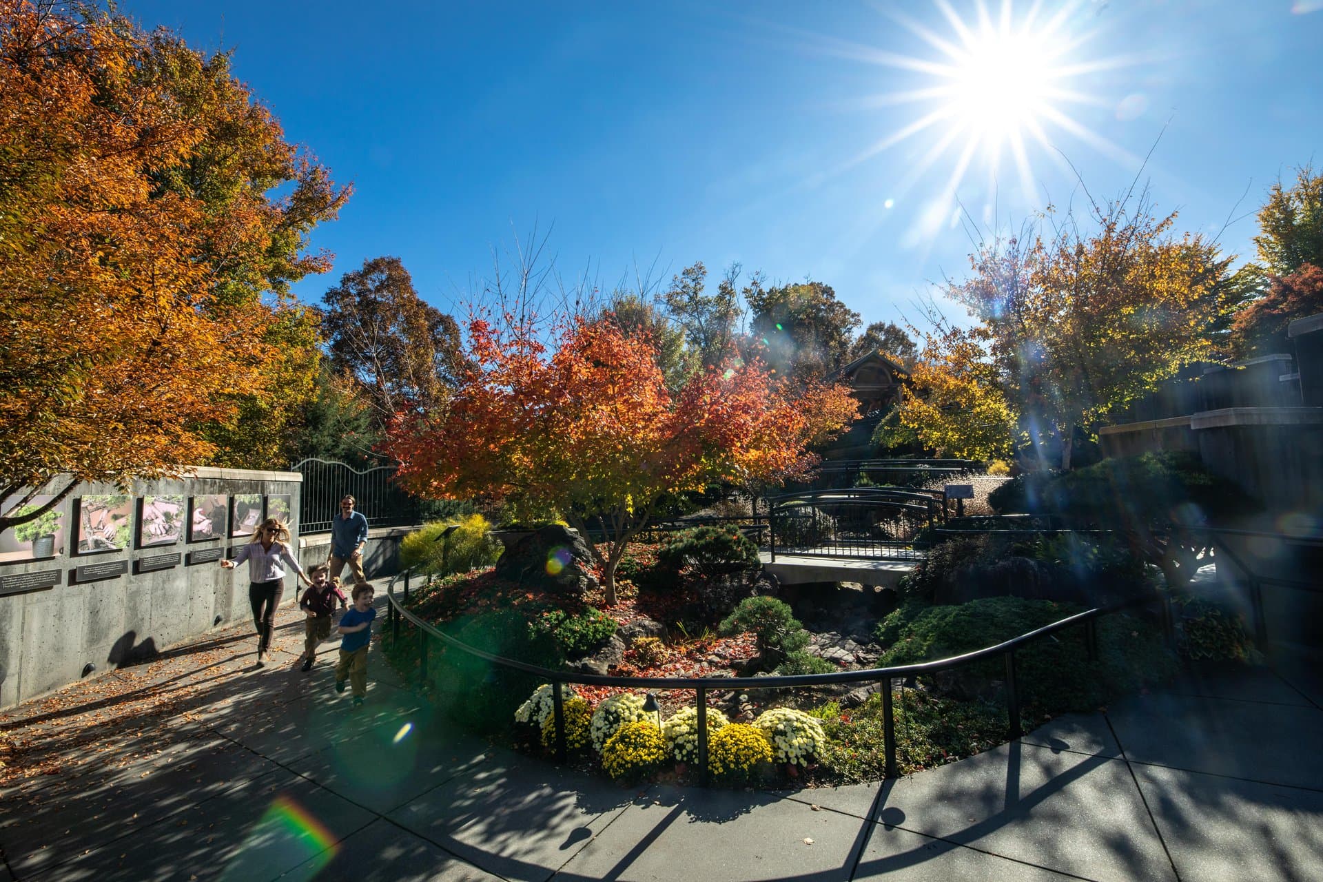 The North Carolina Arboretum