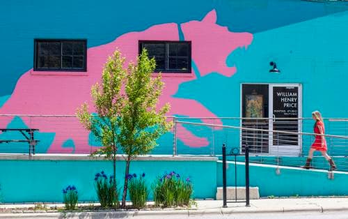 Pink Dog Creative, River Arts District Pink Dog Creative, River Arts District