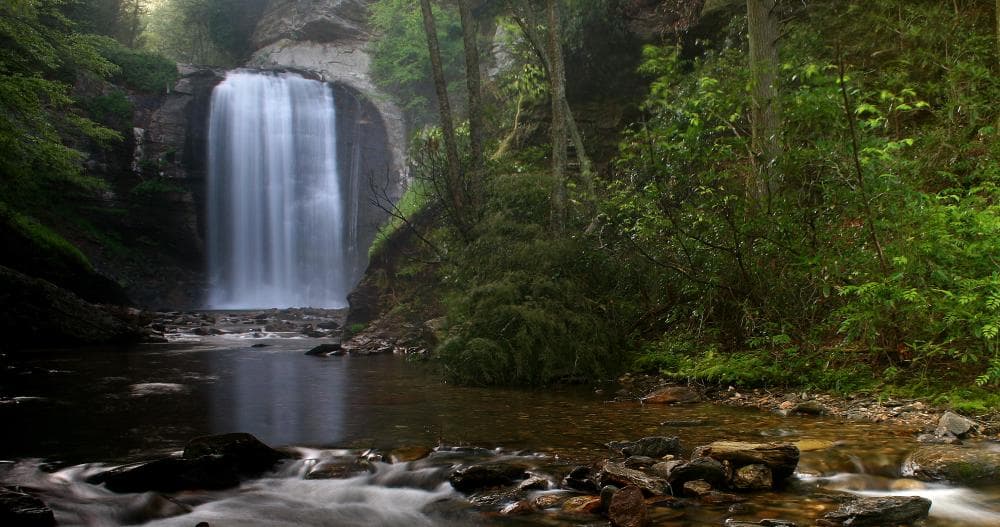 Looking Glass Falls photo cropped for header slide Looking Glass Falls photo cropped for header slide