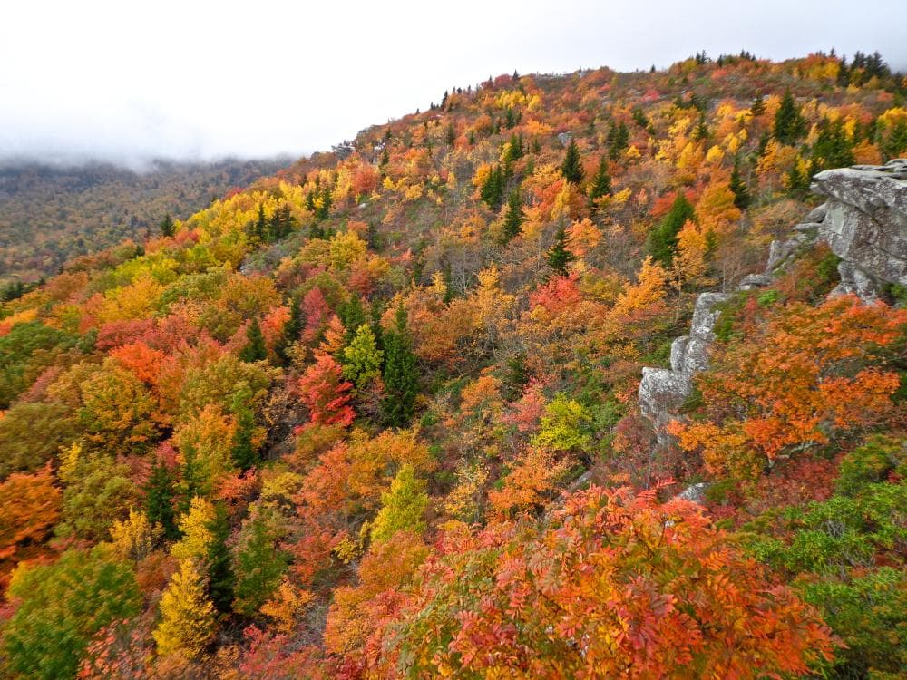 Rough Ridge 2016 Rough Ridge 2016