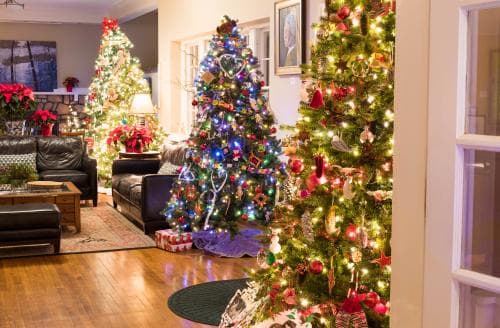 Deck The Trees Black Mountain Deck The Trees Black Mountain