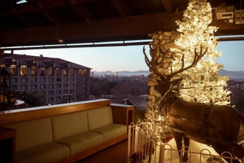 Lit Christmas tree outside of terrace at Omni Grove Park Inn Lit Christmas tree outside of terrace at Omni Grove Park Inn