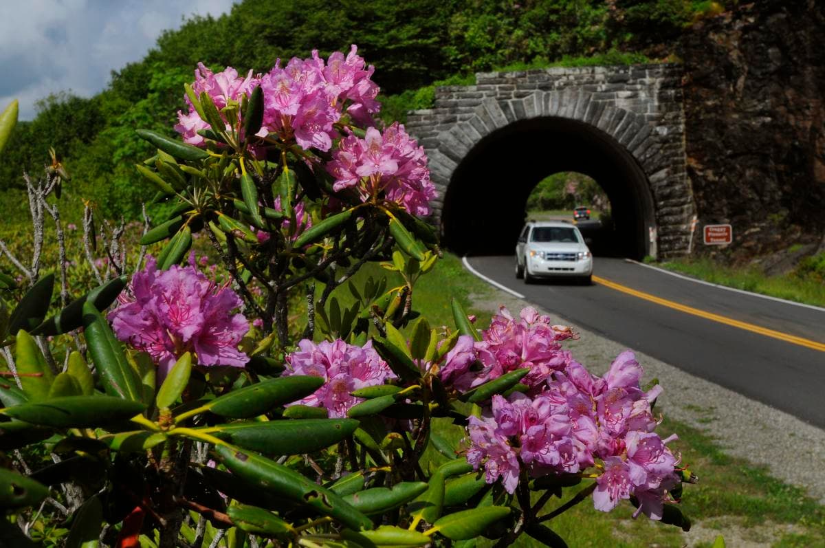 Blue Ridge Parkway Tunnel Summer Blue Ridge Parkway Tunnel Summer
