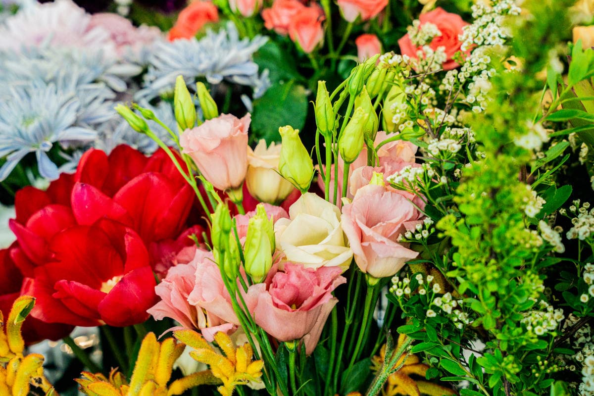 Fresh Cut Flowers at Pollen Coffee & Flower Shop Fresh Cut Flowers at Pollen Coffee & Flower Shop