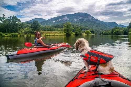 Woman kayaking on lake with dog Woman kayaking on lake with dog