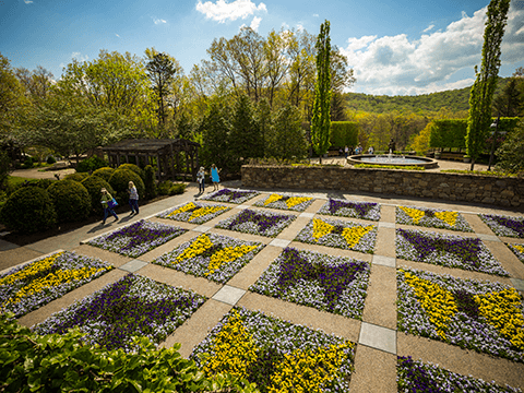 NC Arboretum NC Arboretum