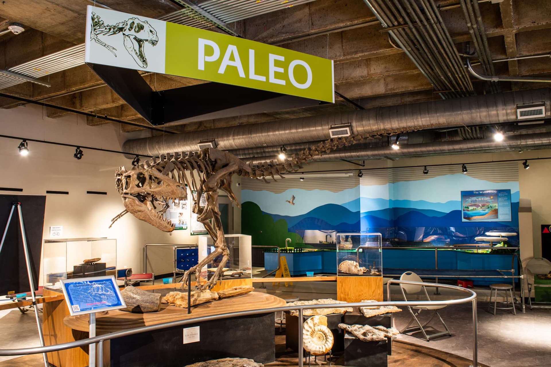 Asheville Museum of Science