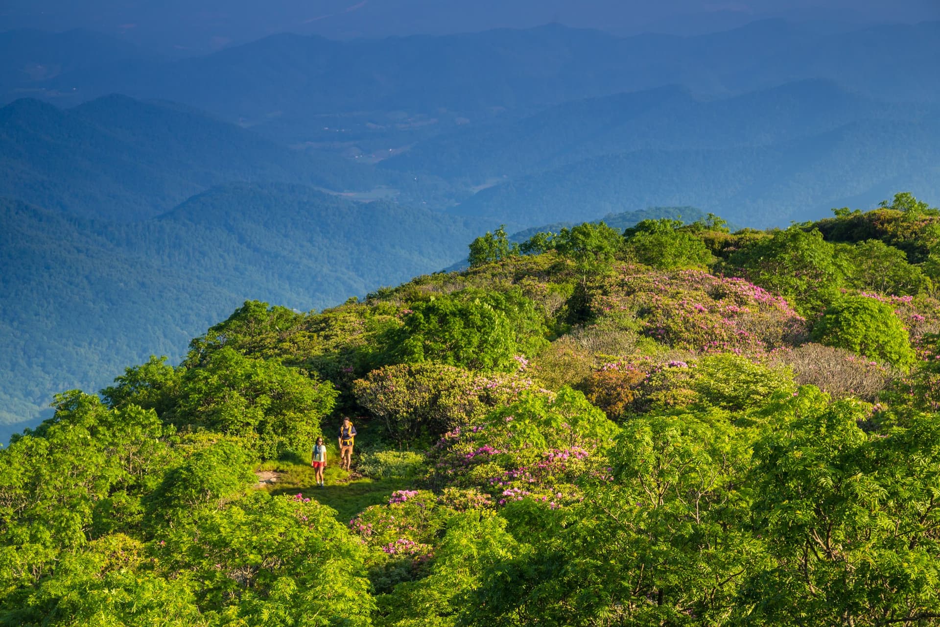 Craggy Gardens hiking / Photo: Jared Kay