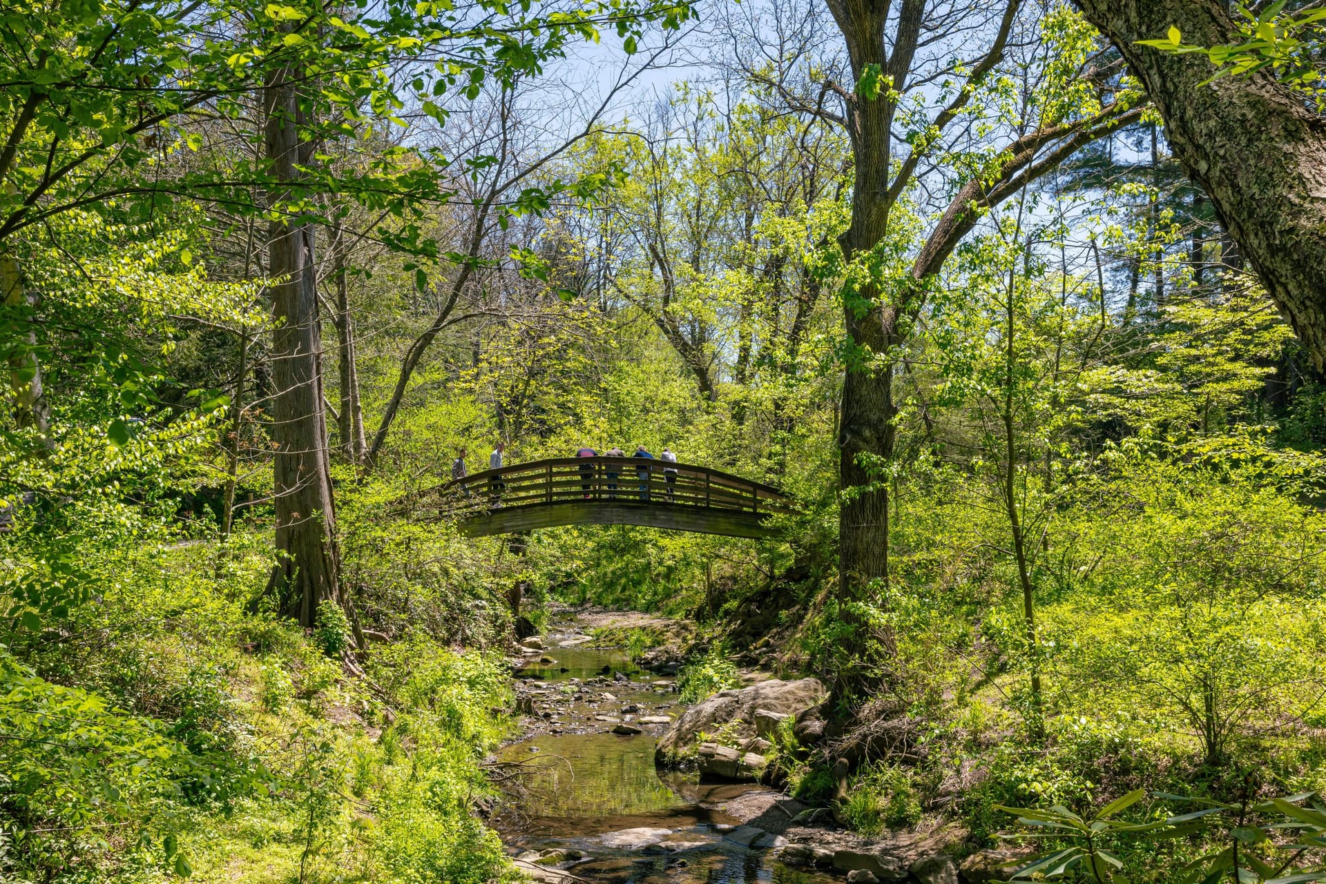 The Botanical Gardens at Asheville / Photo: Tim Robison