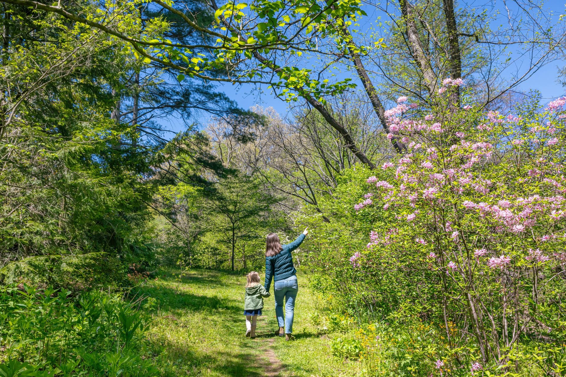 The Botanical Gardens at Asheville / Photo: Tim Robison