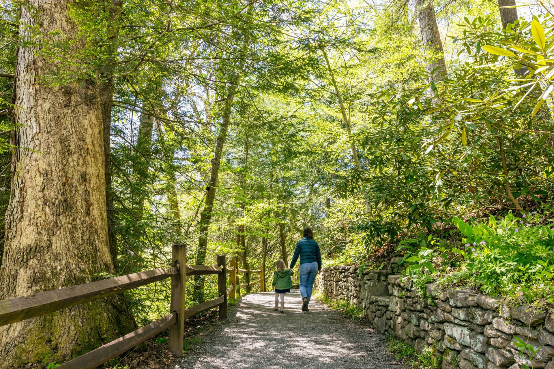 The Botanical Gardens at Asheville / Photo: Tim Robison