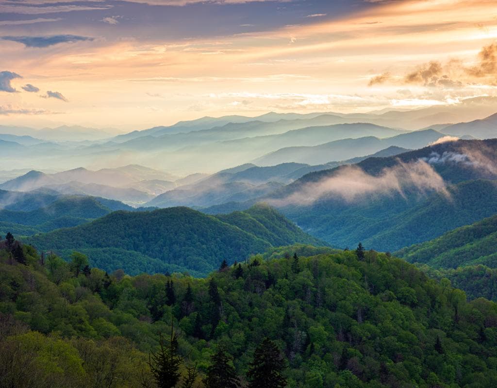 Woolyback Overlook Woolyback Overlook