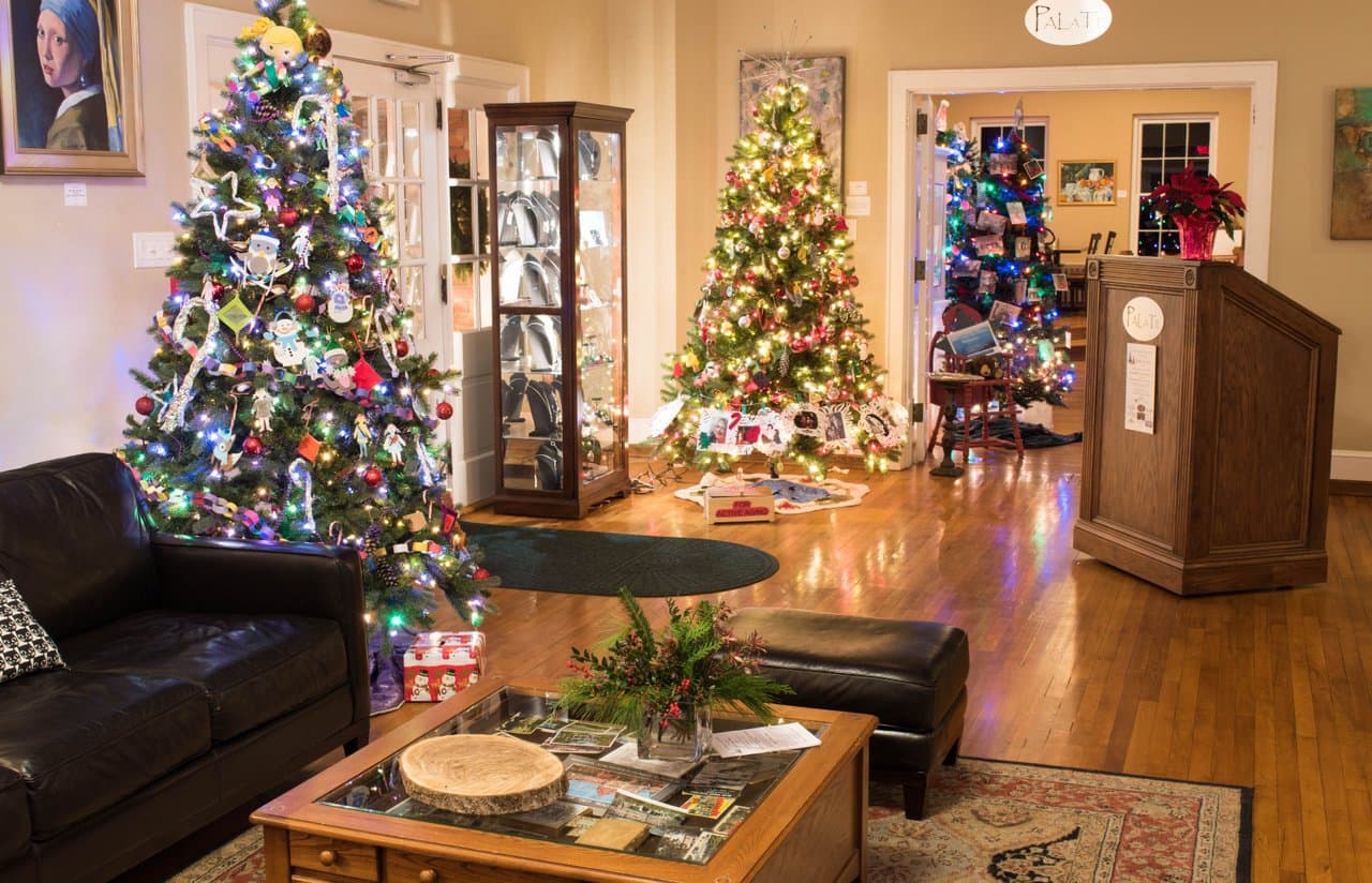 Deck the Trees Deck the Trees