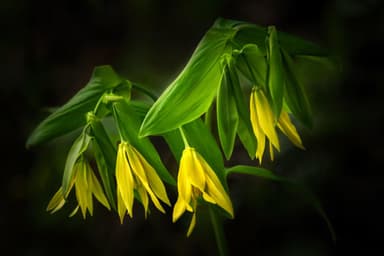 Capture The Moment Photo Tour Deal