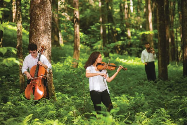 Brevard's diverse summer offering includes symphony, opera, chamber, jazz, pops, bluegrass and more! Brevard's diverse summer offering includes symphony, opera, chamber, jazz, pops, bluegrass and more!