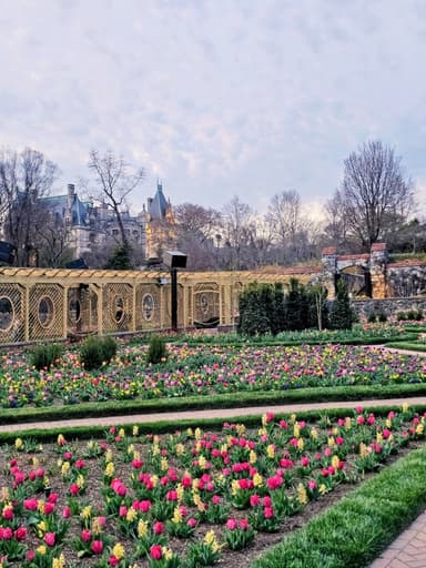 Biltmore Lights & Cozy Nights Seasonal