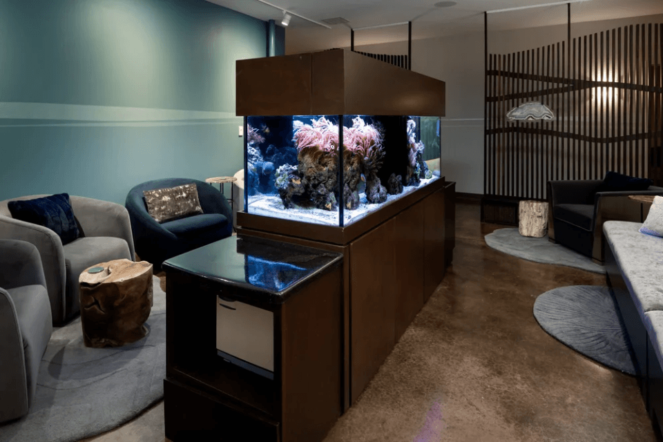After your service, we invite you to take your time reflecting on your experience in our spacious Integration Lounge, complete with a saltwater coral reef aquarium, complimentary herbal tea, heated neck wraps, weighted blankets, and journaling materials. After your service, we invite you to take your time reflecting on your experience in our spacious Integration Lounge, complete with a saltwater coral reef aquarium, complimentary herbal tea, heated neck wraps, weighted blankets, and journaling materials.