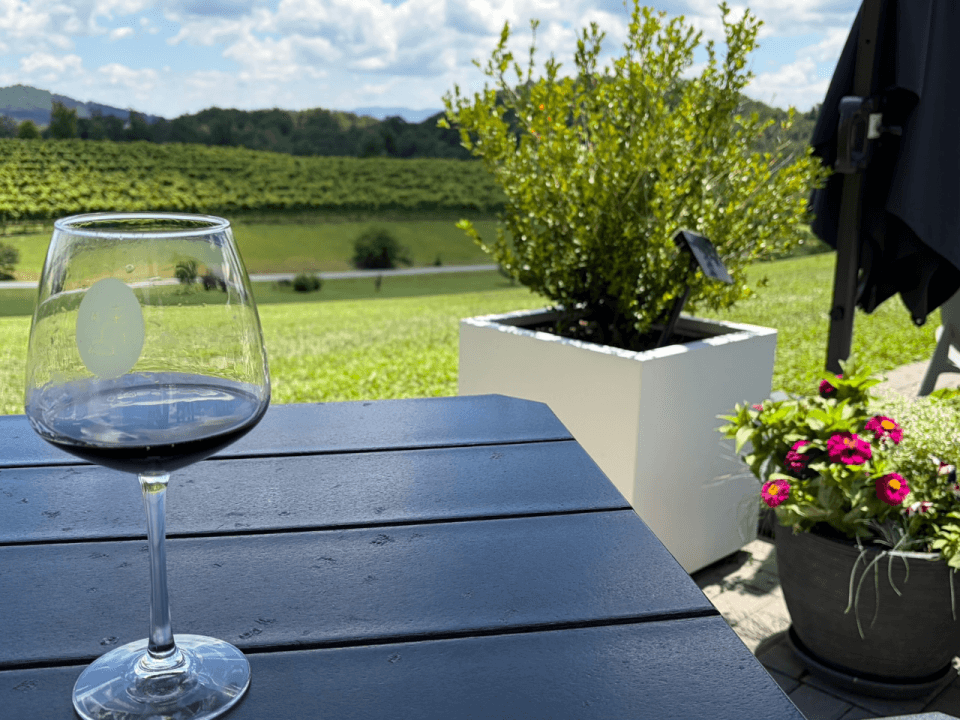 A glass of red wine on the outdoor patio at Marked Tree Vineyard in Flat Rock, NC, with summer flowers, estate vineyard rows, and the Blue Ridge Mountains in the background A glass of red wine on the outdoor patio at Marked Tree Vineyard in Flat Rock, NC, with summer flowers, estate vineyard rows, and the Blue Ridge Mountains in the background