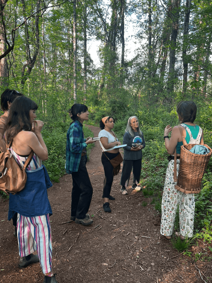 Bek Jopling of Foraging Home leading a wild food and medicine walk Bek Jopling of Foraging Home leading a wild food and medicine walk