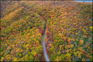 Discover AVL- October Discount