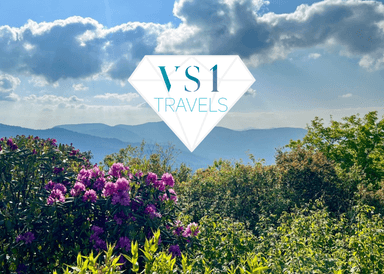 $50 off VS1 Travels Custom Travel Planning Services