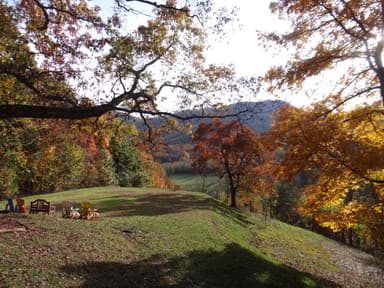 Blue Ridge Leaf Season Escape