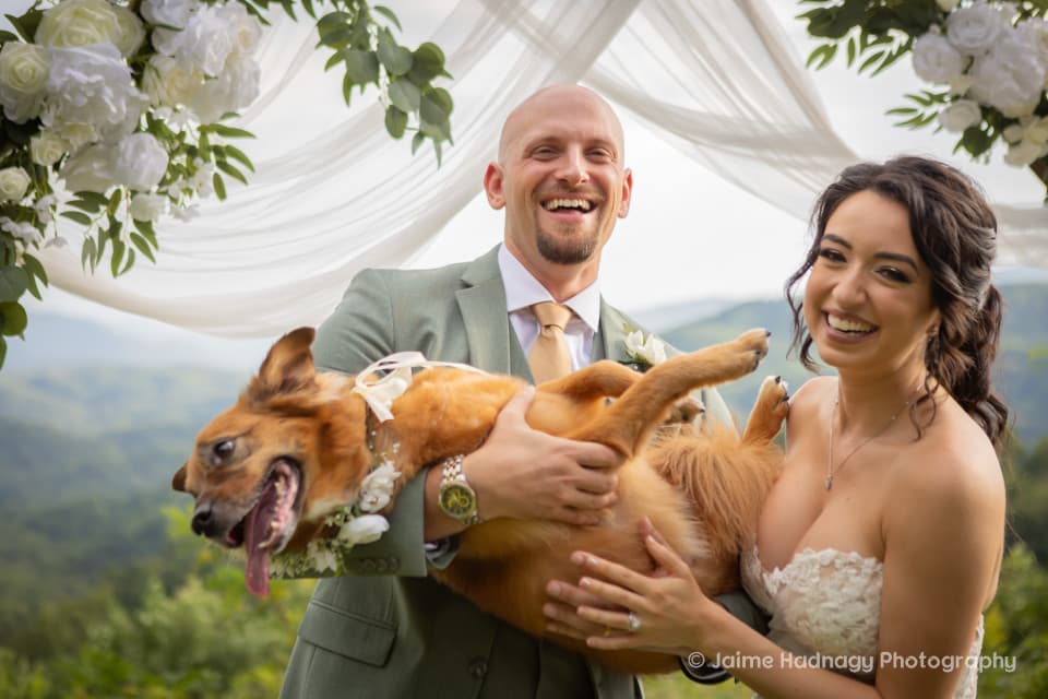 Dog as a Flower Girl Dog as a Flower Girl