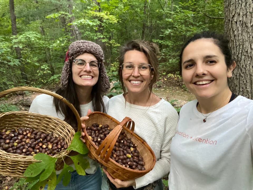 A class gathering acorns for processing into meal and flour A class gathering acorns for processing into meal and flour