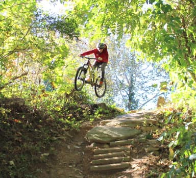 Kolo Bike Park 10-punch park pass-SALE