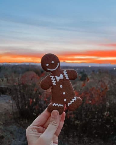 Gingerbread in July Package