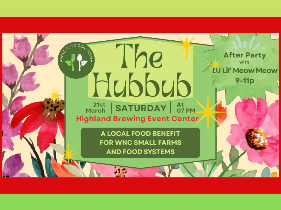 Megan Martell Megan Martell