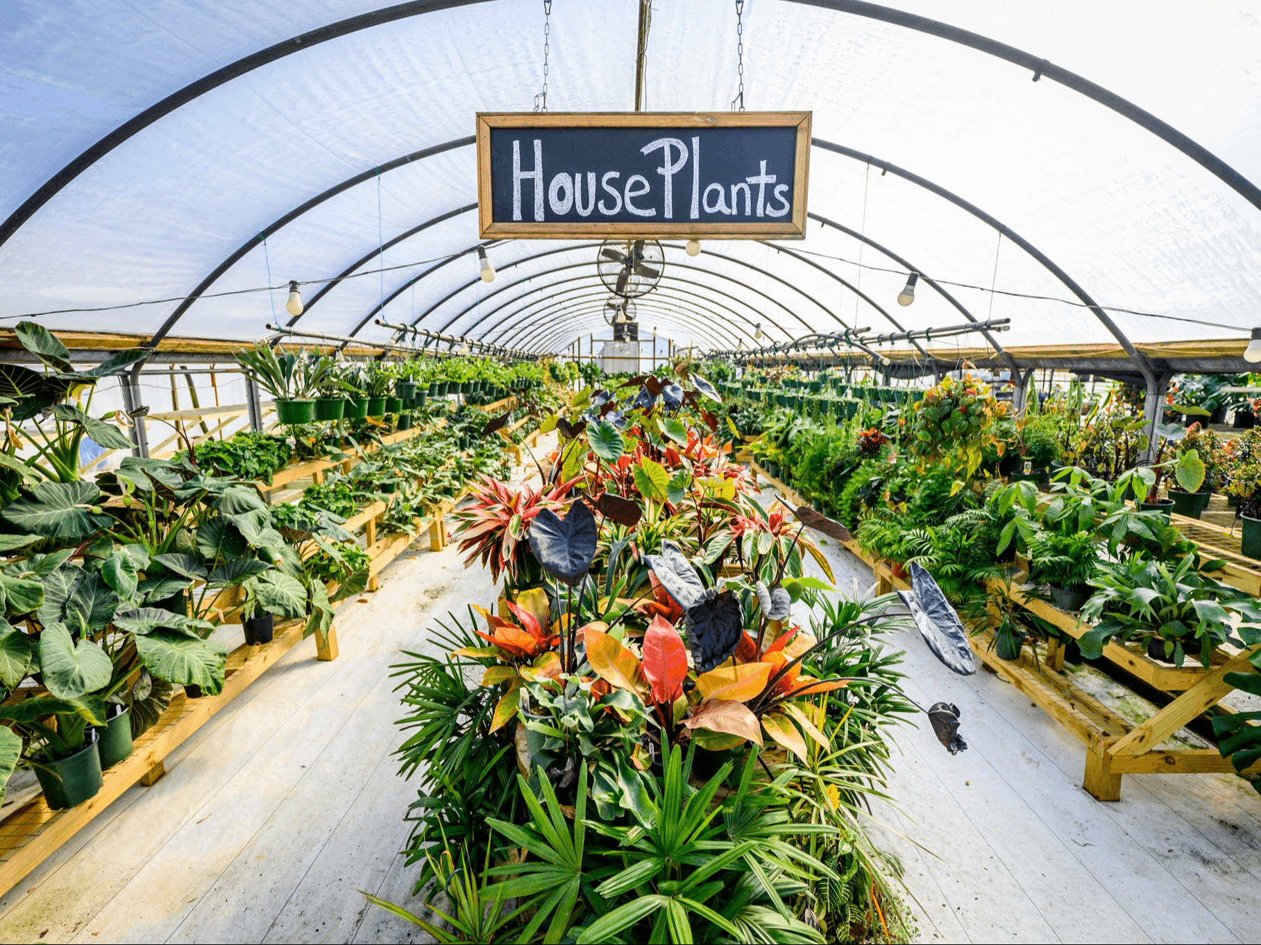 Mozingo Photography Mozingo Photography