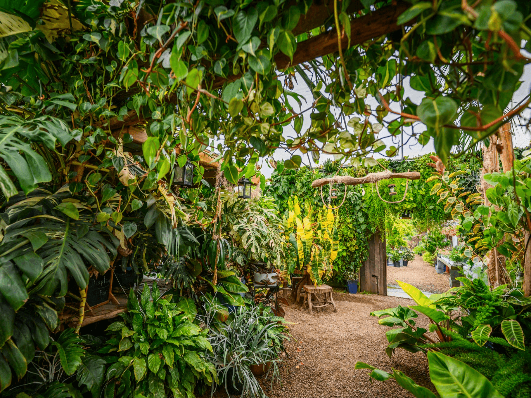 Mozingo Photography Mozingo Photography