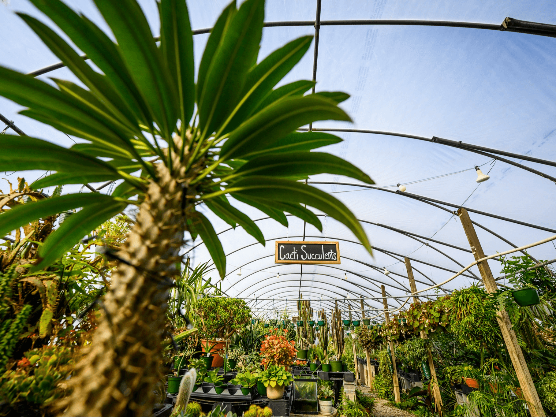 Mozingo Photography Mozingo Photography