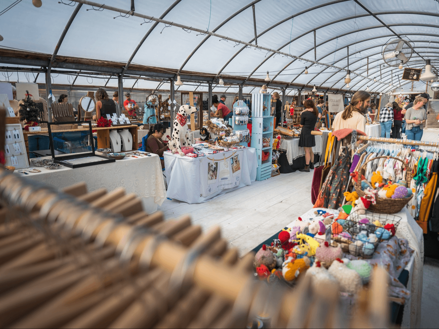 Mozingo Photography Mozingo Photography