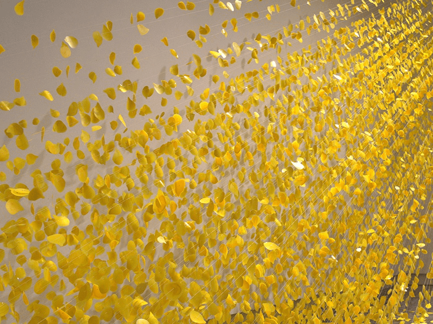 Katy Stone, Ray, 2016, Acrylic on Duralar, thread, pins, 144×312×36 inches. Courtesy of the artist and Russo Lee Gallery, Portland, OR. Katy Stone, Ray, 2016, Acrylic on Duralar, thread, pins, 144×312×36 inches. Courtesy of the artist and Russo Lee Gallery, Portland, OR.