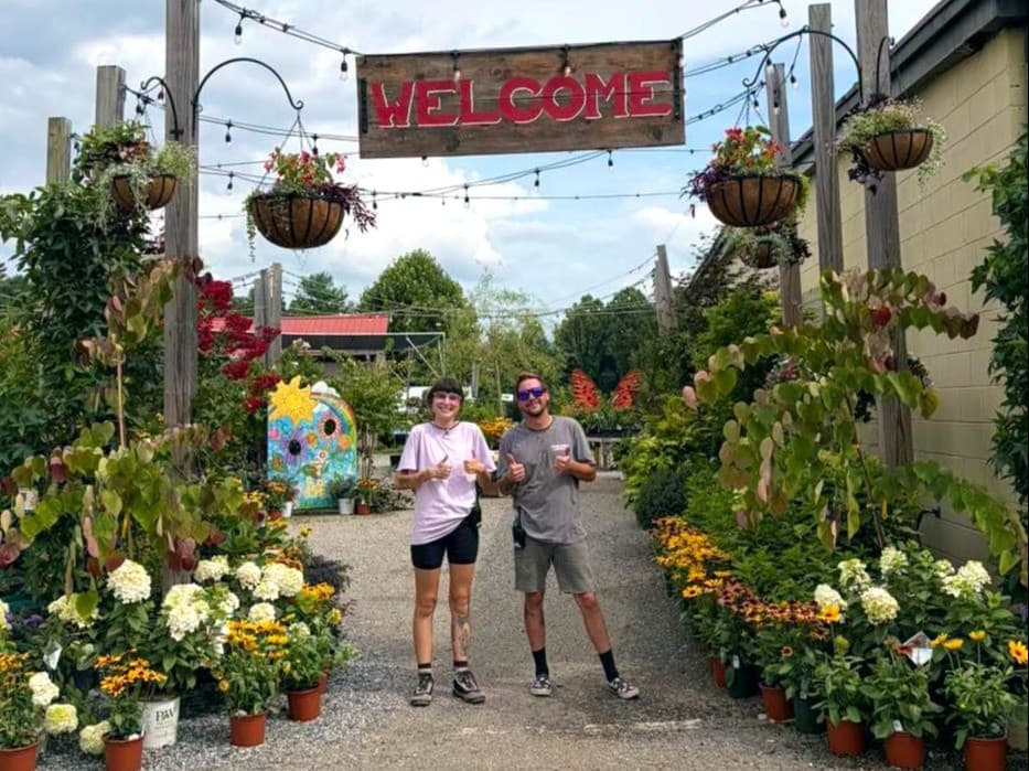 DW / Reems Creek Nursery DW / Reems Creek Nursery