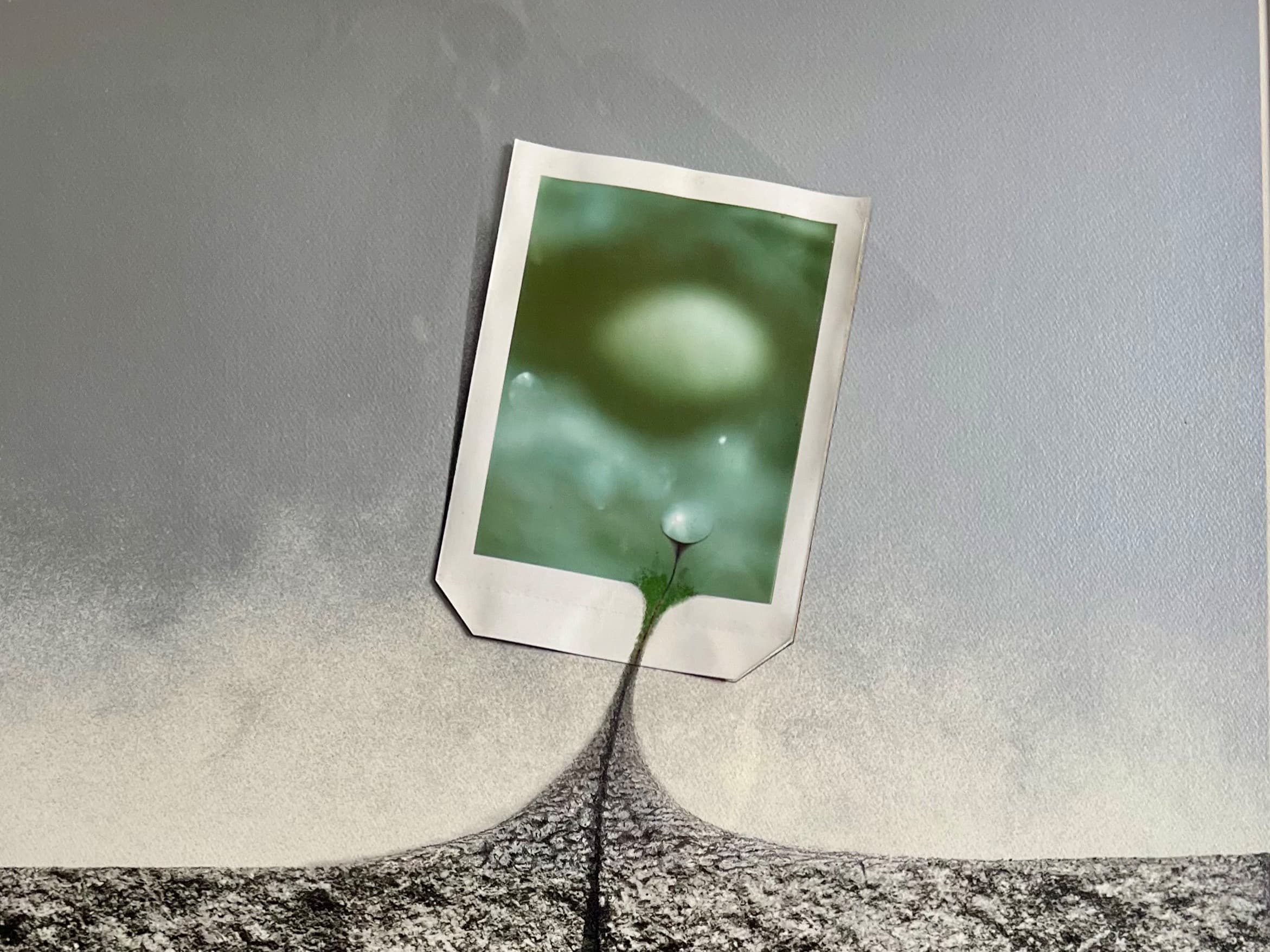 Evon Streetman, Soft Landscape Evon Streetman, Soft Landscape