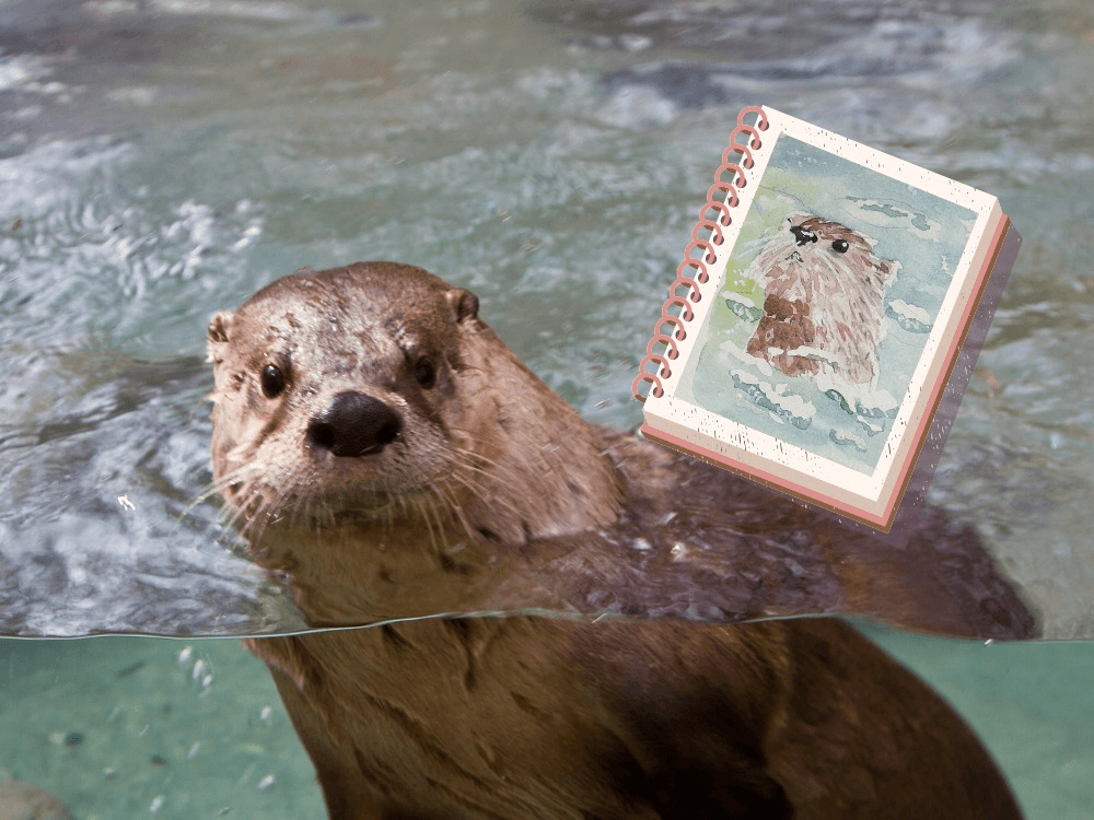 Courtesy of the WNC Nature Center Courtesy of the WNC Nature Center