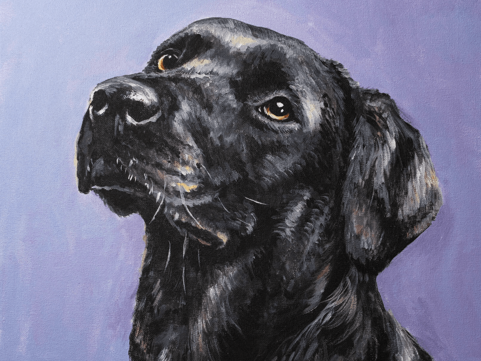 Monet & Chardonnay Monet & Chardonnay