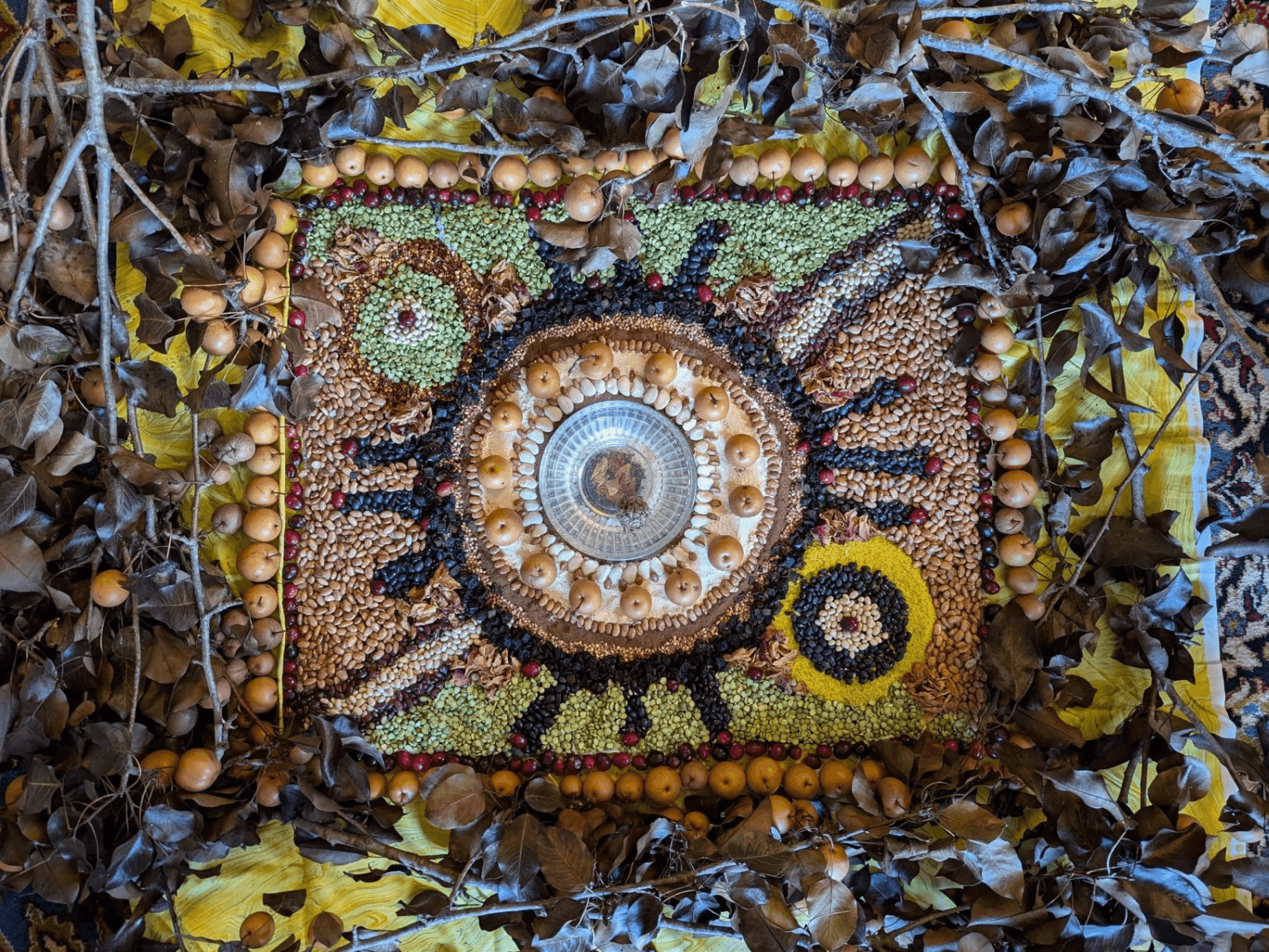 Kitty Love Kitty Love