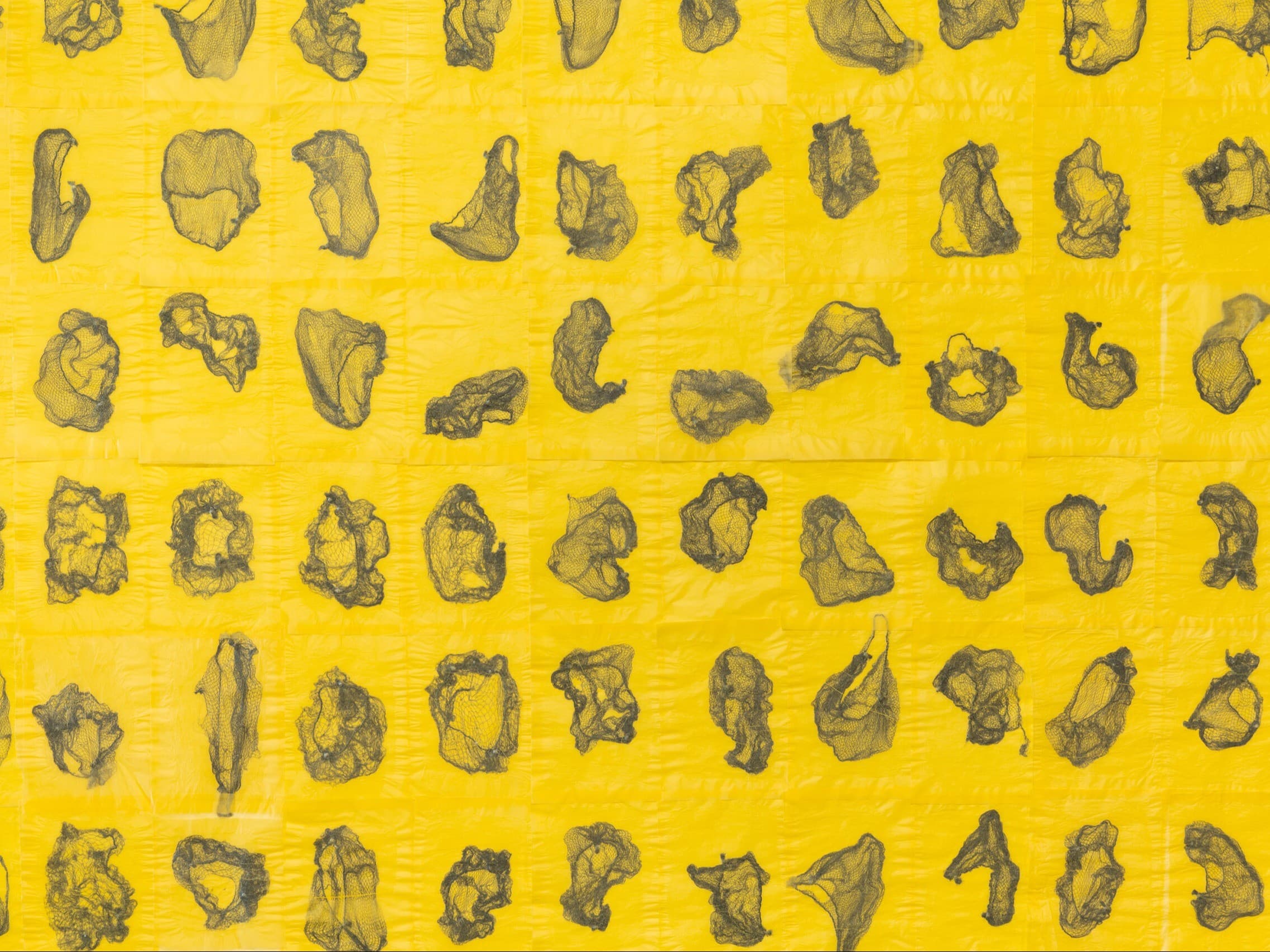 Detail: Lisa Jarrett, "Migration Studies (No. 14, prototype)", 2020, mixed media, hair nets, acrylics, insect pins, plexi, and tracing paper, 84 × 120 inches. Courtesy of the artist and Russo Lee Gallery, Portland, OR. Image Mario Gallucci. Detail: Lisa Jarrett, "Migration Studies (No. 14, prototype)", 2020, mixed media, hair nets, acrylics, insect pins, plexi, and tracing paper, 84 × 120 inches. Courtesy of the artist and Russo Lee Gallery, Portland, OR. Image Mario Gallucci.