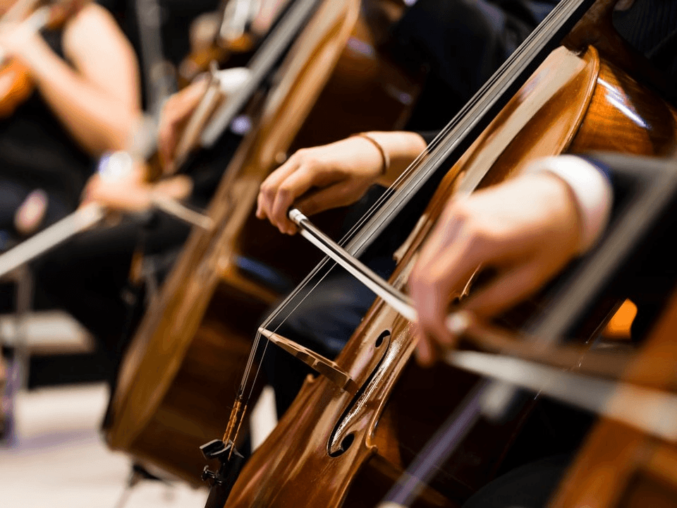 Photo by <a href="https://unsplash.com/@guybas?utm_source=event_manager&utm_medium=referral" target="_blank" rel="noreferrer">Guy Basabose</a> on <a href="https://unsplash.com/?utm_source=event_manager&utm_medium=referral" target="_blank" rel="noreferrer">Unsplash</a> Photo by <a href="https://unsplash.com/@guybas?utm_source=event_manager&utm_medium=referral" target="_blank" rel="noreferrer">Guy Basabose</a> on <a href="https://unsplash.com/?utm_source=event_manager&utm_medium=referral" target="_blank" rel="noreferrer">Unsplash</a>