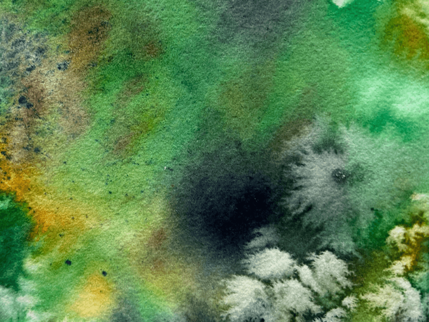 Original art by Claire Simpson Jones Original art by Claire Simpson Jones