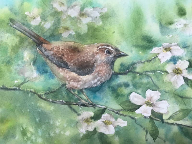 Original art by Claire Simpson Jones Original art by Claire Simpson Jones