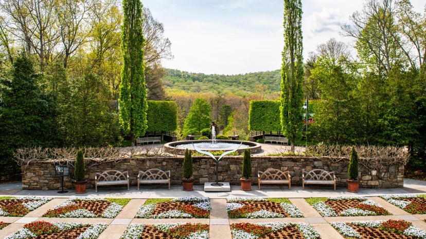 Best Gardens to Visit in Asheville NC